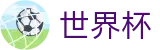 世界杯（中文）唯一指定官网 - 世界杯冠军赔率与精准预测夺冠热门